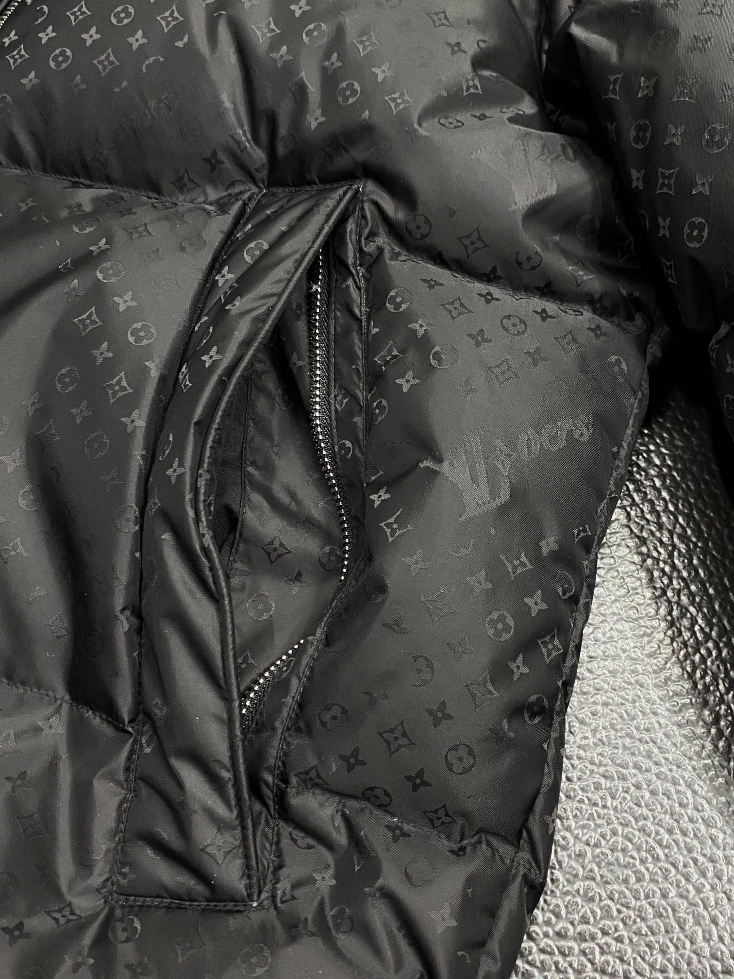 Louis Vuitton Down Jackets